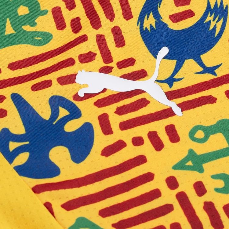 Ghana Training 2025/26 Jersey